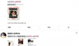 娱乐圈的吃瓜文案怎么写,揭秘明星背后的故事与真相